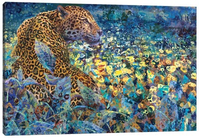 Spotted In The Southwest Canvas Art Print - Leopard Art