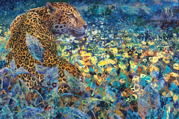 Leopards: Spotted In The Southwest by Iris Scott