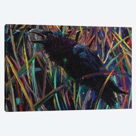 Raven Of Wapiti II Canvas Print #IRS380} by Iris Scott Art Print