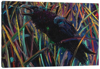 Raven Of Wapiti II Canvas Art Print - Iris Scott