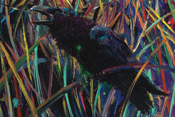 Finger Painting: Raven Of Wapiti II by Iris Scott