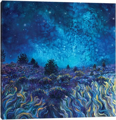 Terra Nocturna Canvas Art Print - Hill & Hillside Art