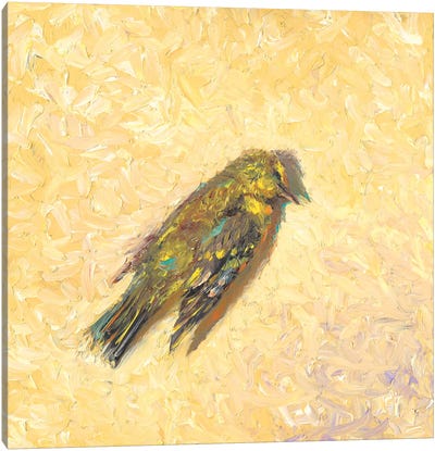 The Goldfinch Canvas Art Print - Finch Art