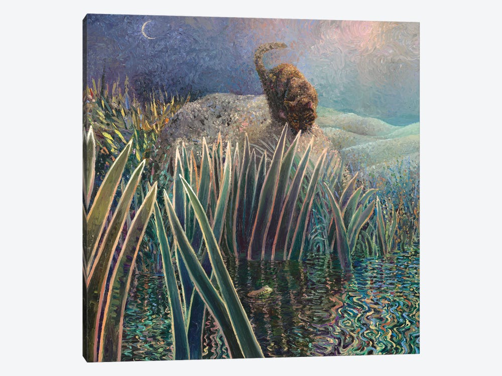 The Tortie And The Toad by Iris Scott 1-piece Canvas Print