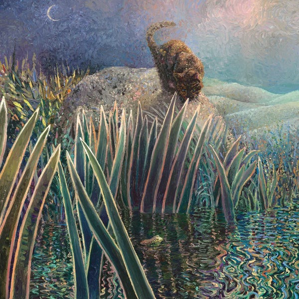 A Purr-fect Day: The Tortie And The Toad by Iris Scott