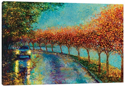 Lake Washington Boulevard Canvas Art Print - Autumn Art