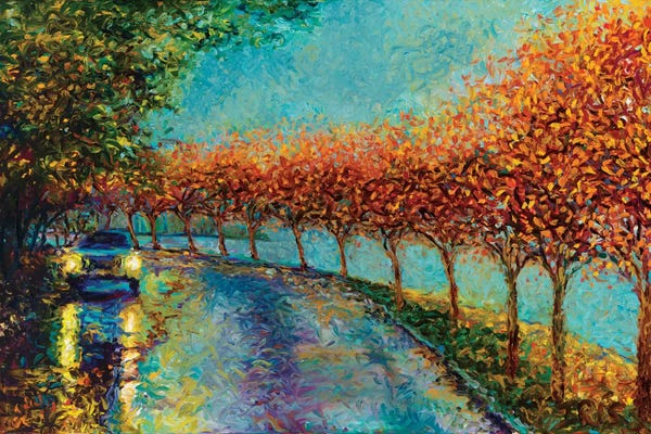 Rain: Lake Washington Boulevard by Iris Scott