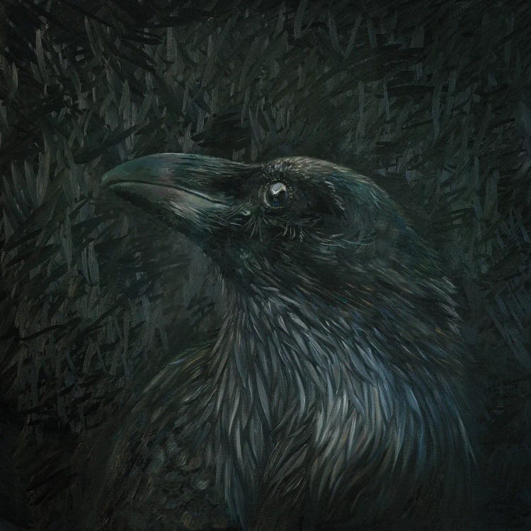 White Raven by Iris Scott wall art