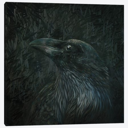 White Raven Canvas Print #IRS392} by Iris Scott Canvas Wall Art