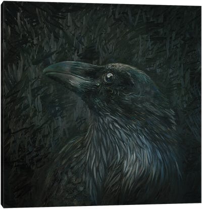 White Raven Canvas Art Print - Iris Scott