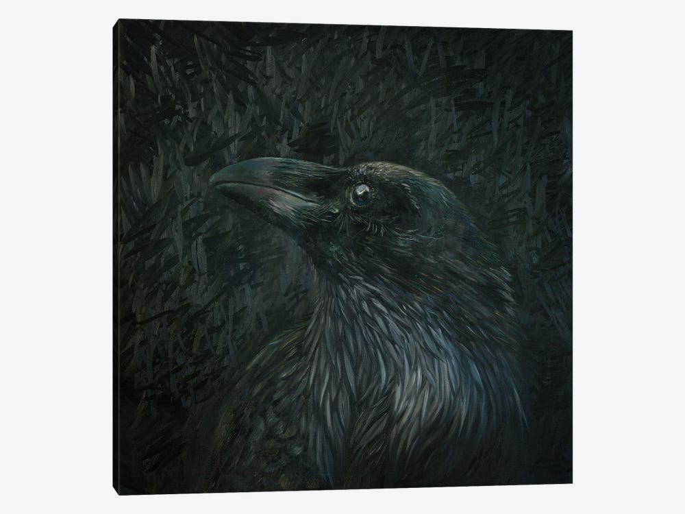 White Raven by Iris Scott 1-piece Canvas Art Print