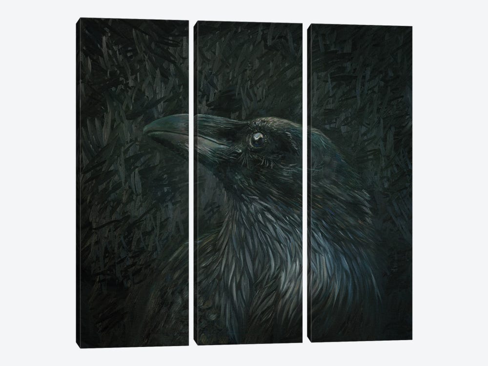 White Raven by Iris Scott 3-piece Canvas Art Print