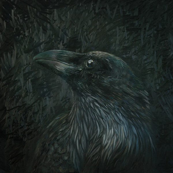 Finger Painting: White Raven by Iris Scott