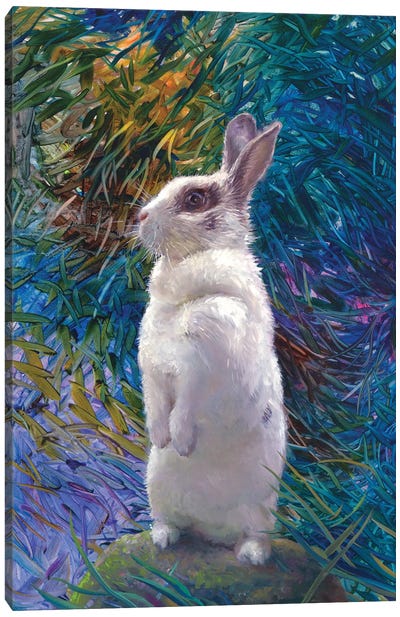 Zaika Canvas Art Print - Rabbit Art