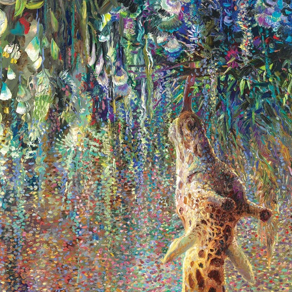 Canopy Cornucopia II