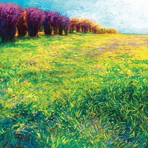 Finger Painting: Aspens In Jackson by Iris Scott