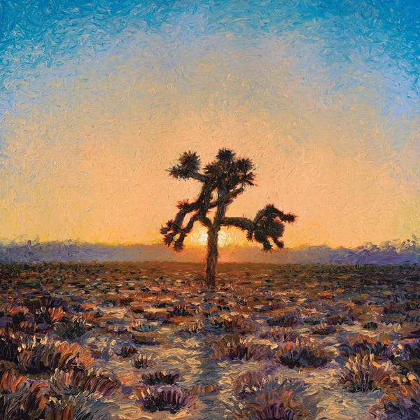 Joshua Tree National Park: Joshua Tree by Iris Scott