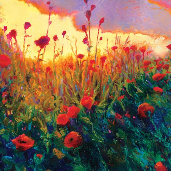 Landscapes In Bloom: Papoula by Iris Scott