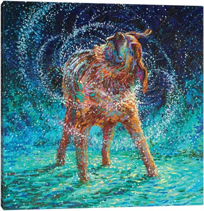 Old Rem Canvas Art Print - Labrador Retriever Art