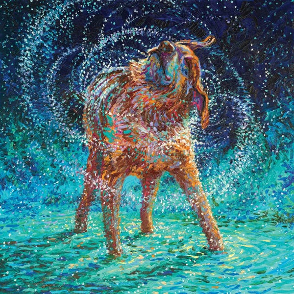 Labrador Retrievers: Old Rem by Iris Scott