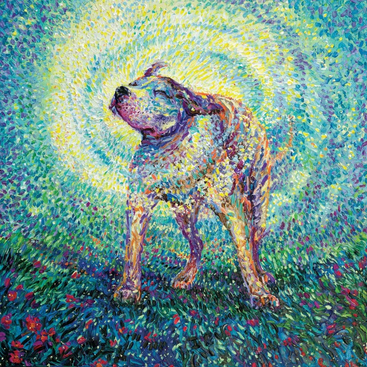 Pitbull Shake by Iris Scott wall art