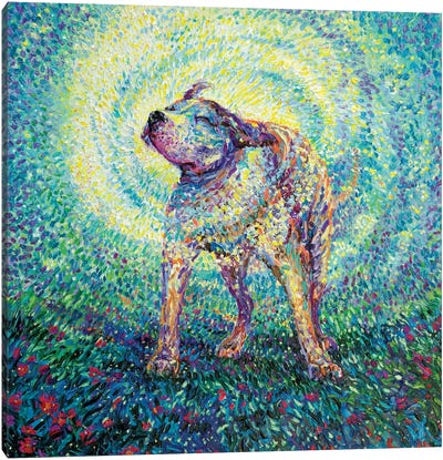 Pitbull Shake Canvas Art Print - Dog Art
