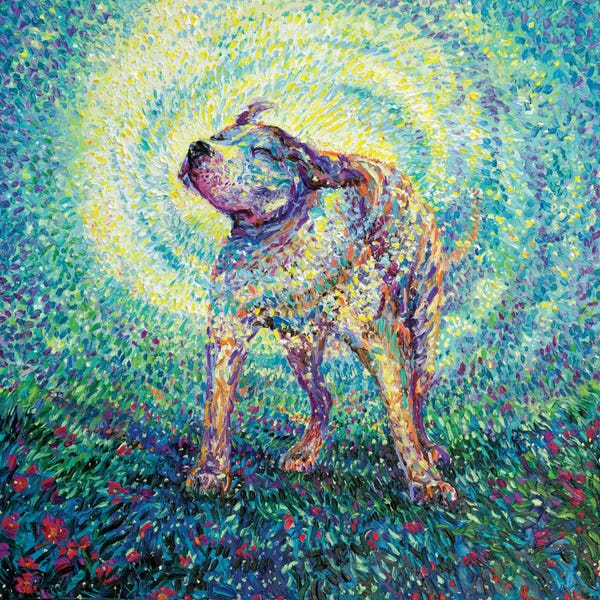 Current Day Impressionism: Pitbull Shake by Iris Scott