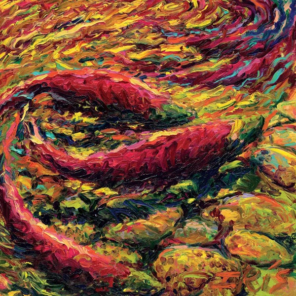 Fish: Saturday Salmon by Iris Scott