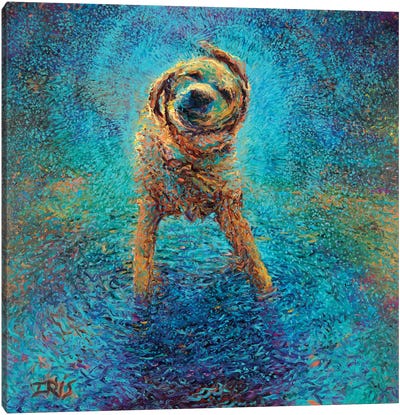 Shakin' Off The Blues Canvas Art Print - Iris Scott - Shakin' Dogs