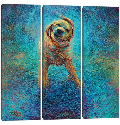 Shakin' Off The Blues Canvas Art Print - 3-Piece Animal Art