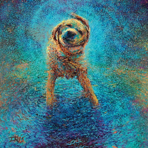 Dogs: Shakin' Off The Blues by Iris Scott