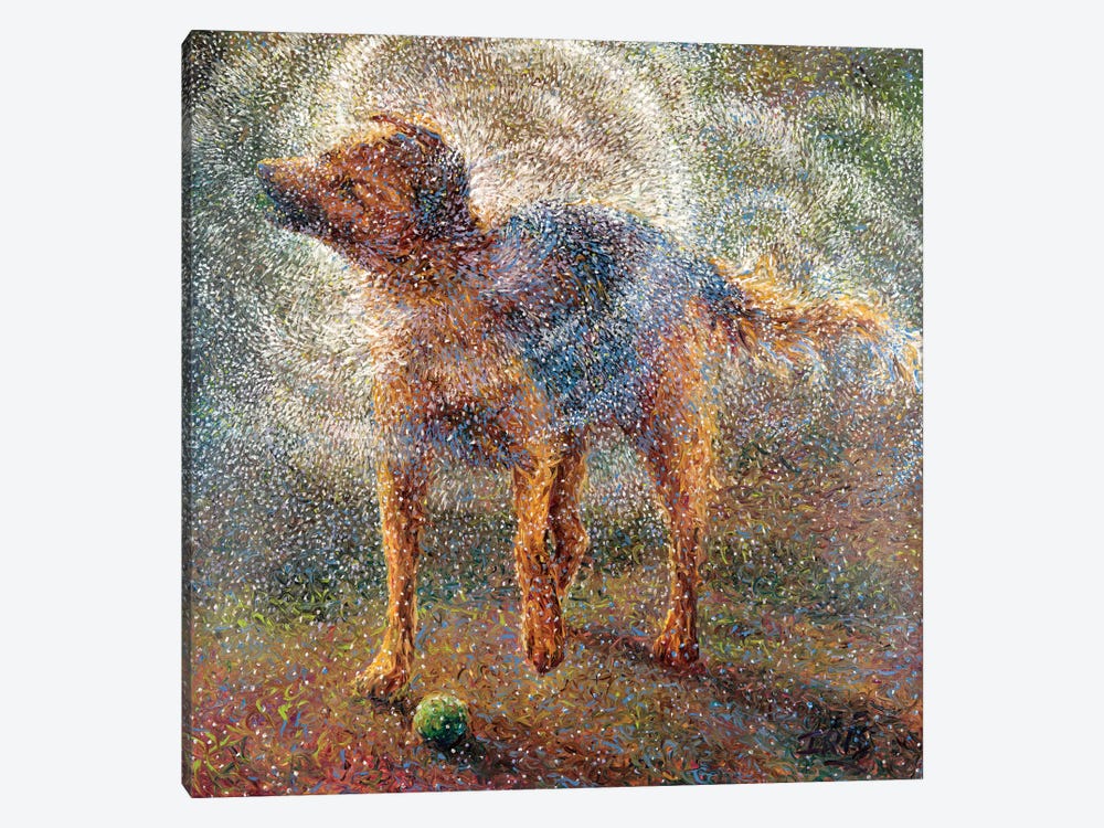 Shakin' Shepherd by Iris Scott 1-piece Canvas Art