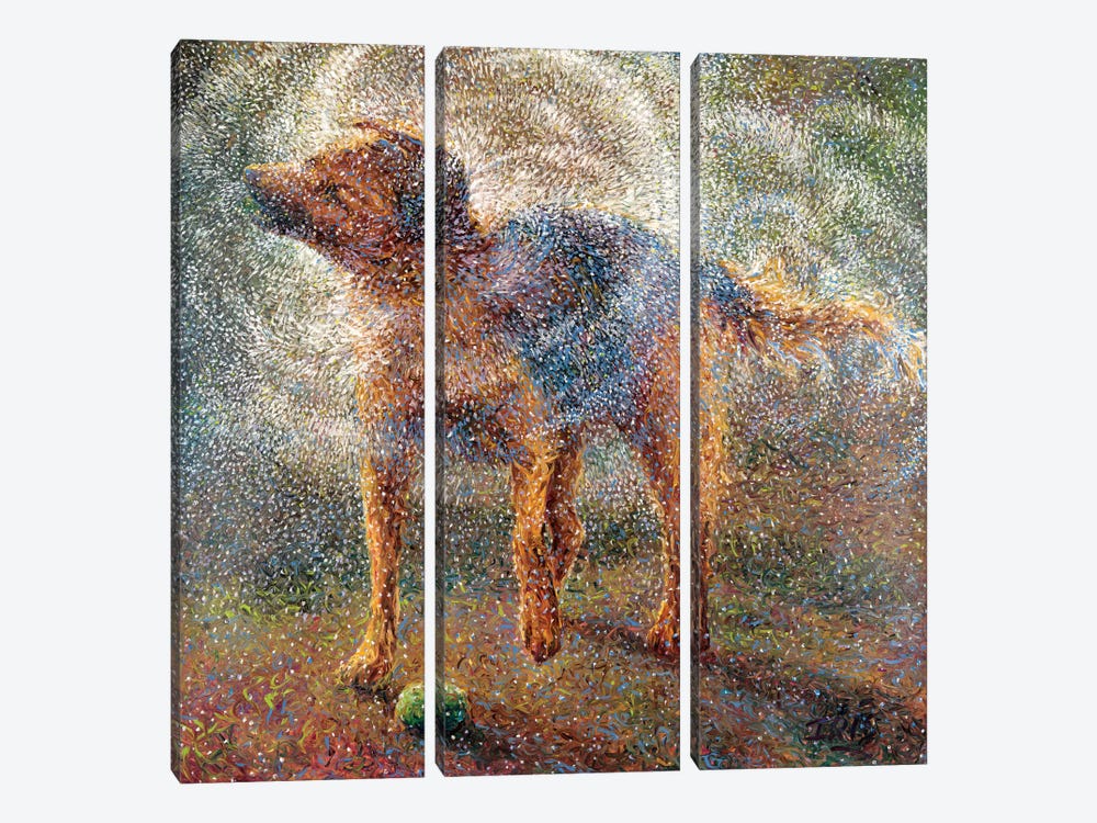 Shakin' Shepherd by Iris Scott 3-piece Canvas Wall Art