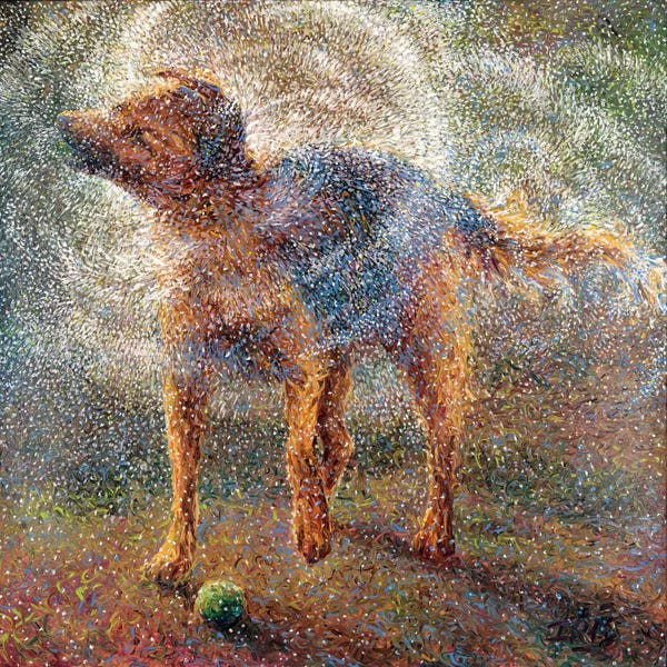 Current Day Impressionism: Shakin' Shepherd by Iris Scott