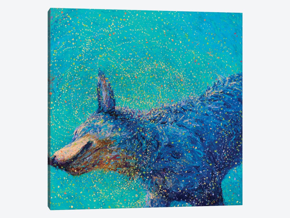 Shaking Blue Heeler by Iris Scott 1-piece Art Print