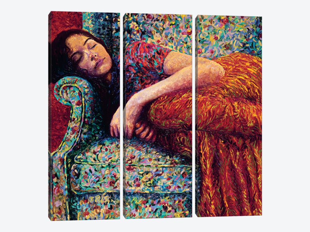 Sleepy Lee by Iris Scott 3-piece Canvas Art Print