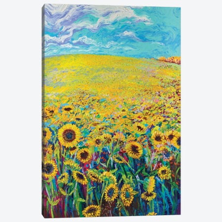 Sunflower Triptych Panel I Canvas Print #IRS74} by Iris Scott Canvas Art Print