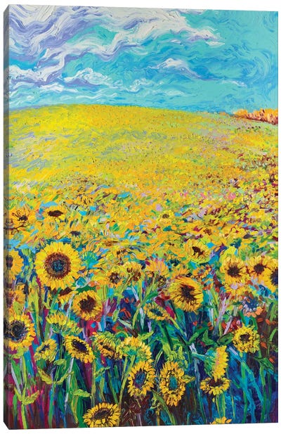 Sunflower Triptych Panel I Canvas Art Print - Field, Grassland & Meadow Art