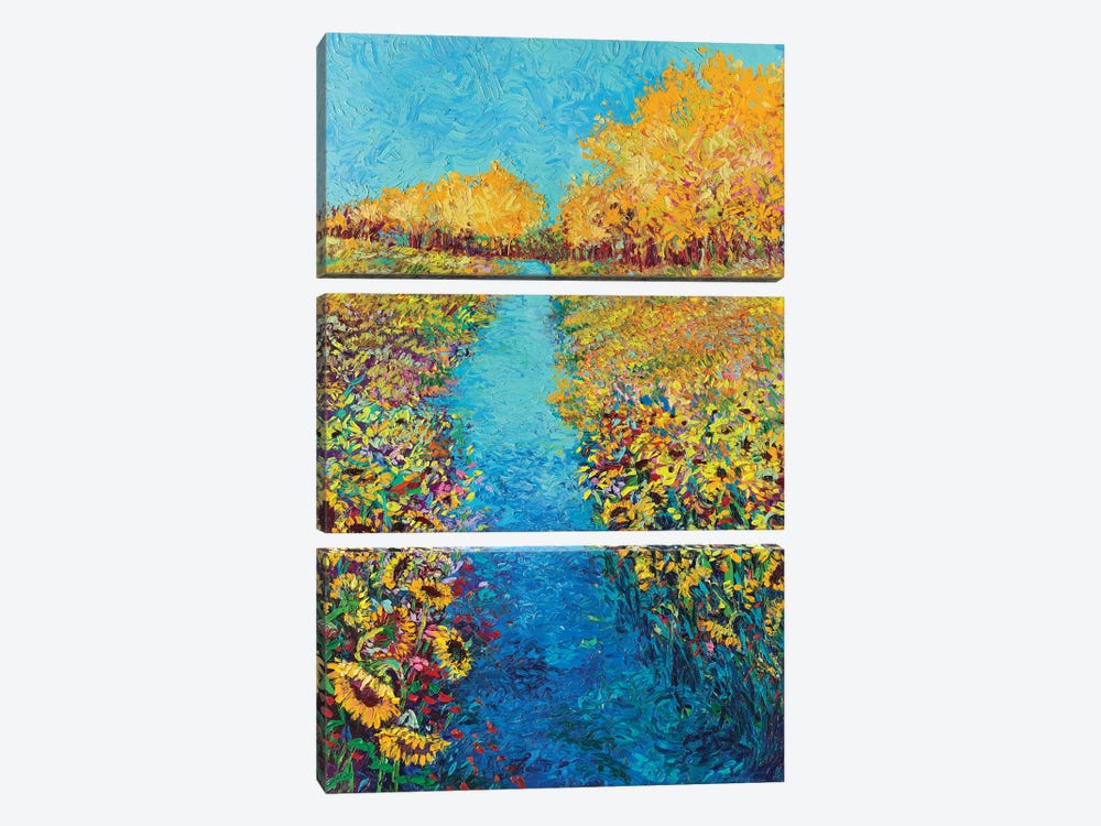 Sunflower Triptych Panel II by Iris Scott 3-piece Canvas Art