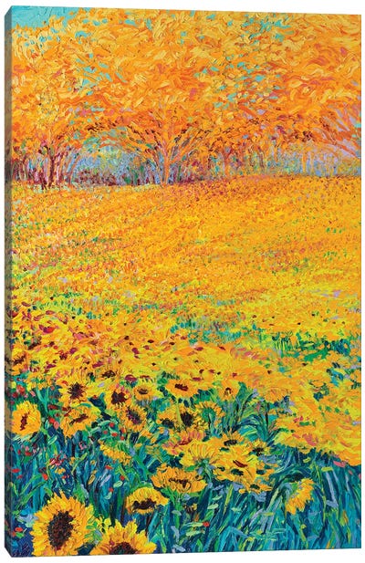 Sunflower Triptych Panel III Canvas Art Print - Field, Grassland & Meadow Art