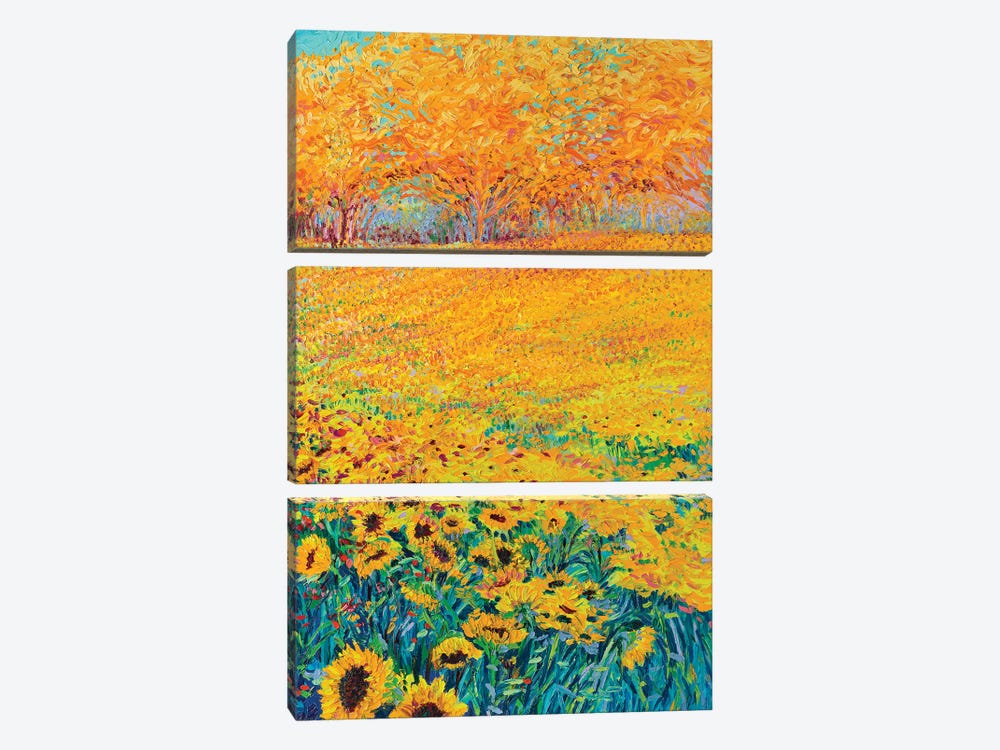 Sunflower Triptych Panel III by Iris Scott 3-piece Canvas Print
