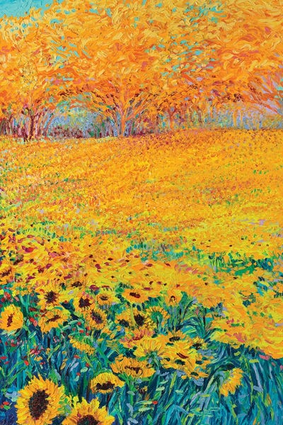 Large Floral & Botanical Art - Canvas Prints: Sunflower Triptych Panel III by Iris Scott