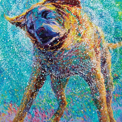 Sunset Swim by Iris Scott framed wall art