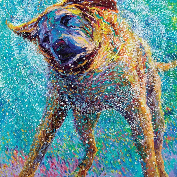 Iris Scott: Sunset Swim by Iris Scott