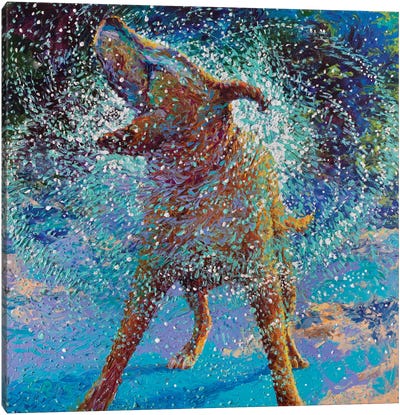 Swimmin' In Ice Canvas Art Print - Iris Scott - Shakin' Dogs