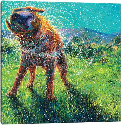 Swimmin' In The Creek Canvas Art Print - Best Selling Dog Art