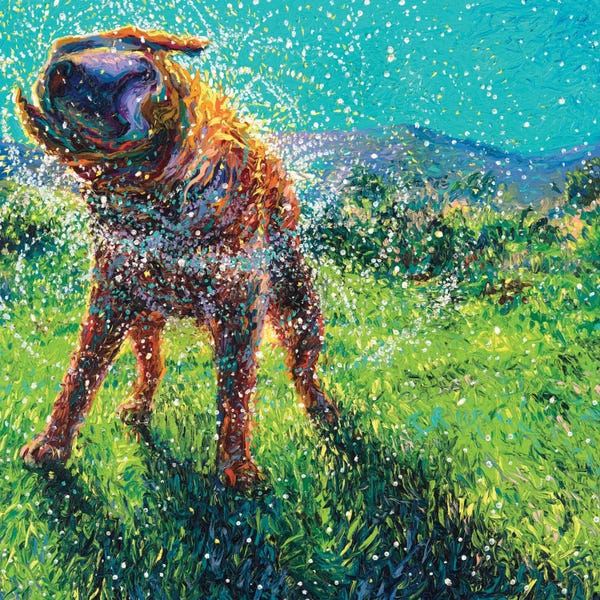 Art By 50 Women Artists: Swimmin' In The Creek by Iris Scott