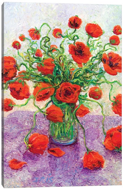 The Color Poppy Canvas Art Print - Artists Like Van Gogh
