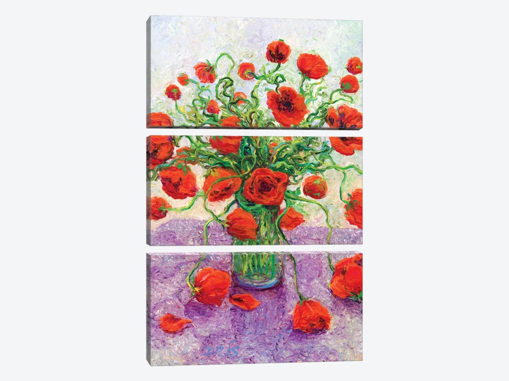 The Color Poppy by Iris Scott 3-piece Canvas Wall Art