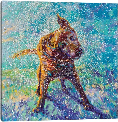 Twisted Blue Canvas Art Print - Labrador Retriever Art